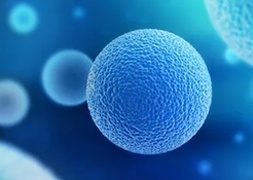 酵母高表達(dá)平臺(tái)